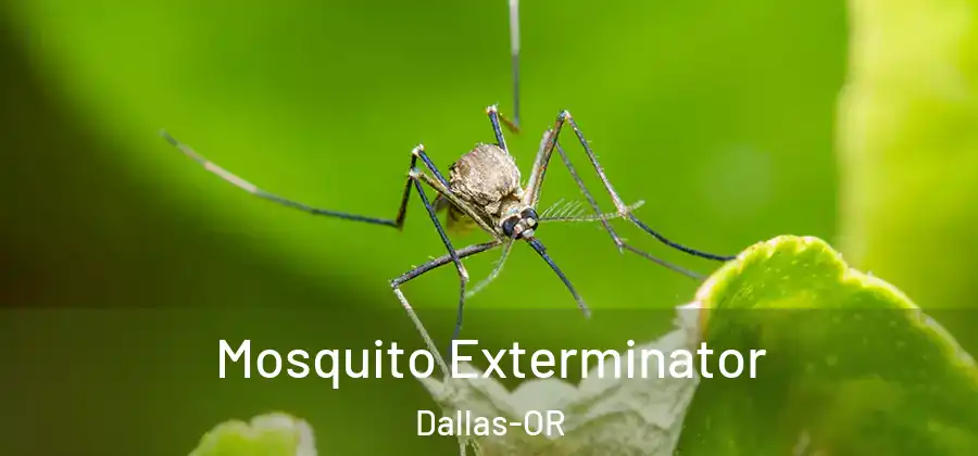  Mosquito Exterminator Dallas-OR