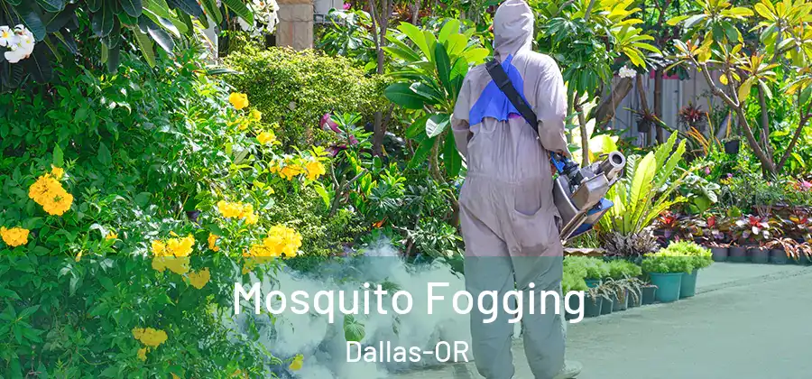 Mosquito Fogging Dallas-OR