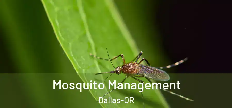  Mosquito Management Dallas-OR