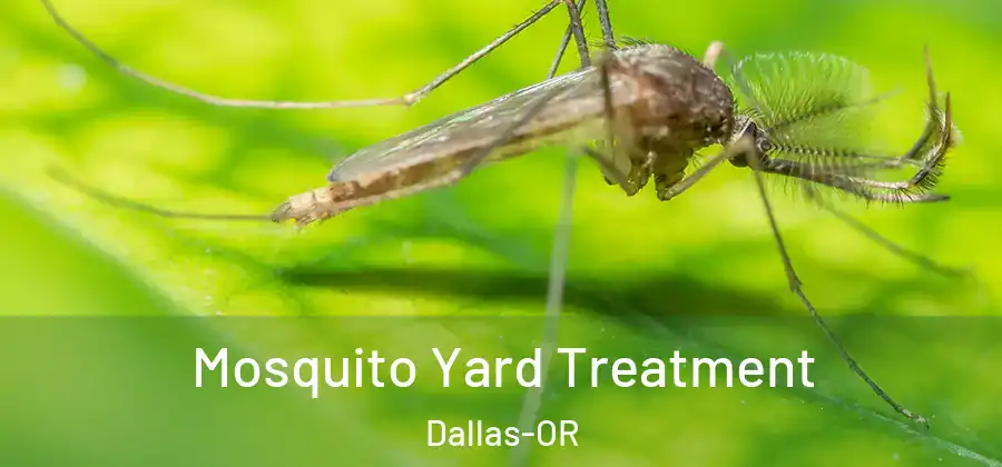  Mosquito Yard Treatment Dallas-OR