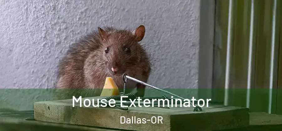 Mouse Exterminator Dallas-OR