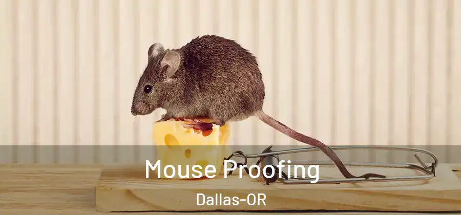 Mouse Proofing Dallas-OR