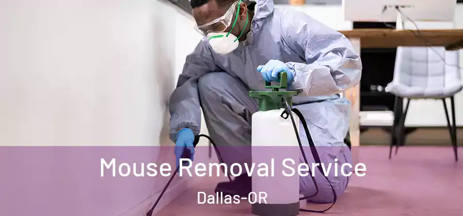 Mouse Removal Service Dallas-OR