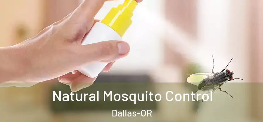  Natural Mosquito Control Dallas-OR
