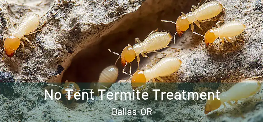  No Tent Termite Treatment Dallas-OR