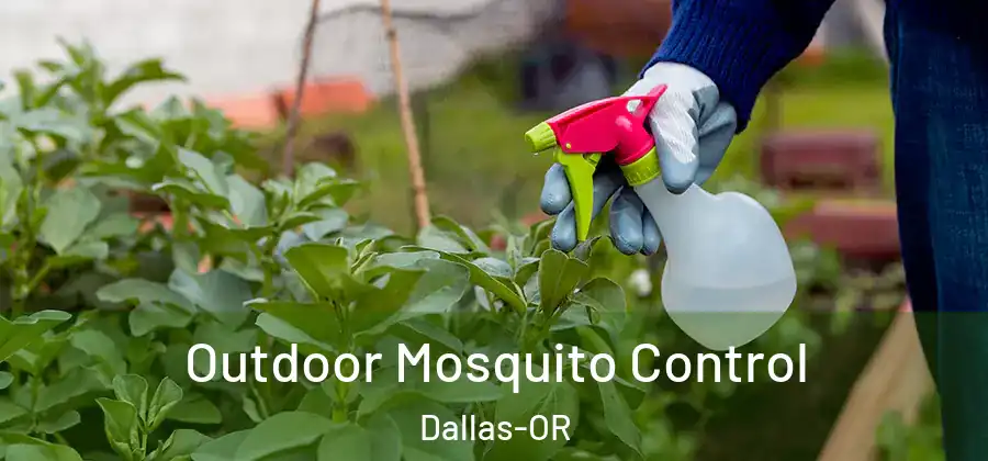  Outdoor Mosquito Control Dallas-OR