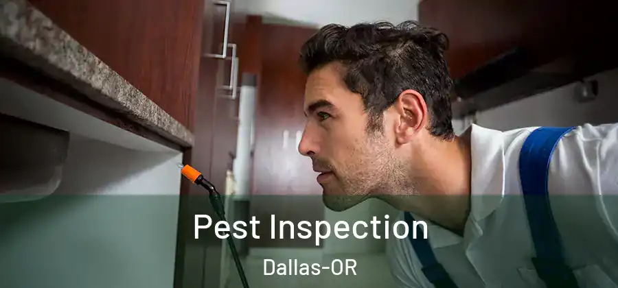 Pest Inspection Dallas-OR