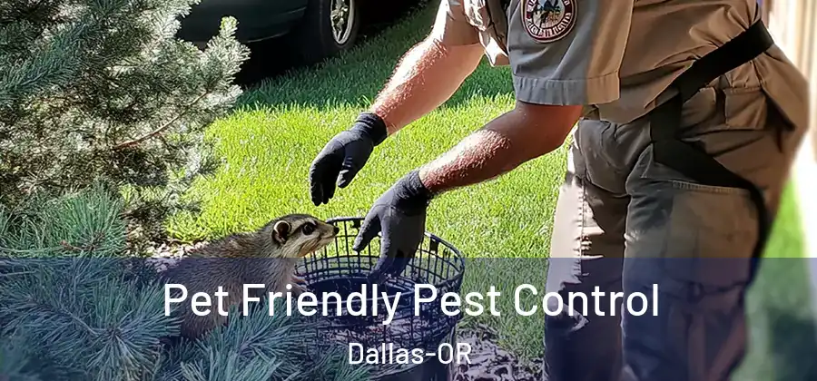  Pet Friendly Pest Control Dallas-OR