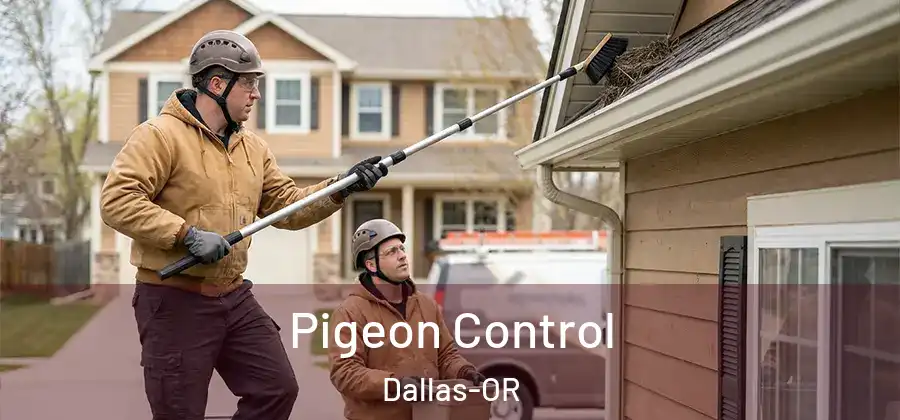 Pigeon Control Dallas-OR