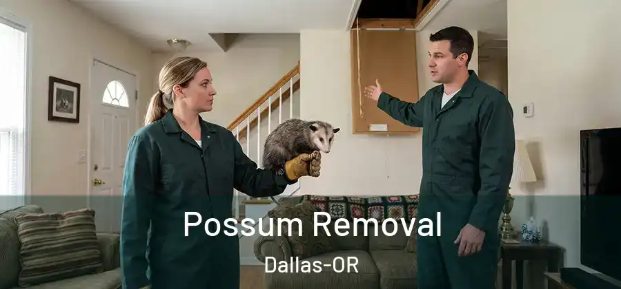  Possum Removal Dallas-OR