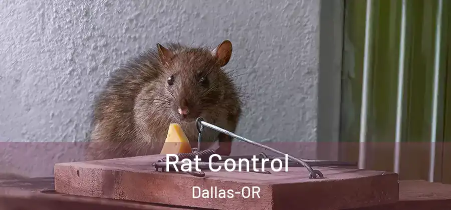 Rat Control Dallas-OR