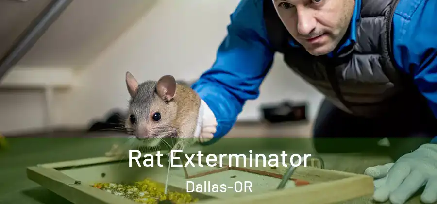 Rat Exterminator Dallas-OR