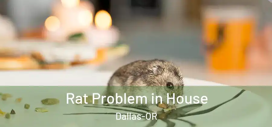 Rat Problem in House Dallas-OR