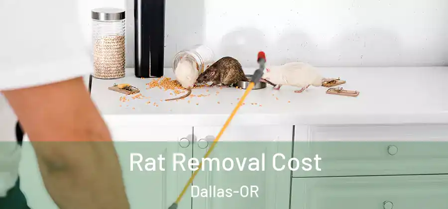 Rat Removal Cost Dallas-OR