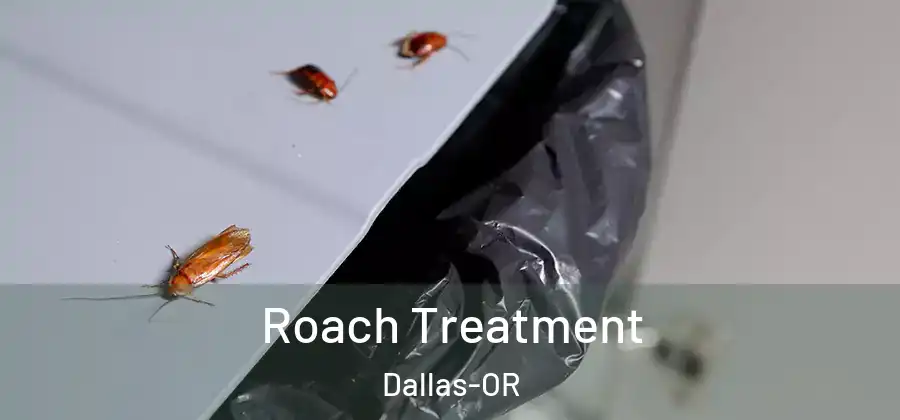 Roach Treatment Dallas-OR