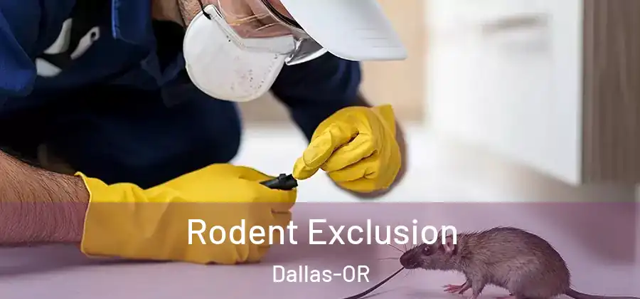  Rodent Exclusion Dallas-OR