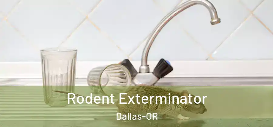 Rodent Exterminator Dallas-OR