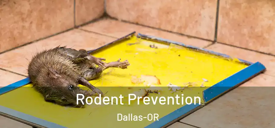  Rodent Prevention Dallas-OR