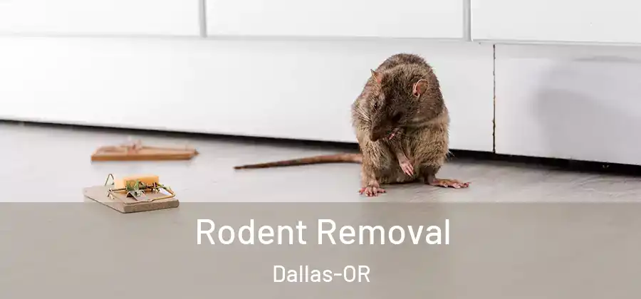  Rodent Removal Dallas-OR
