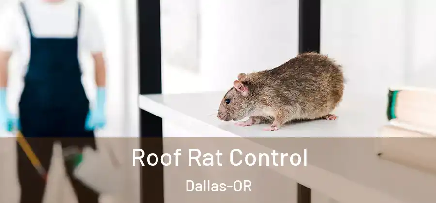  Roof Rat Control Dallas-OR
