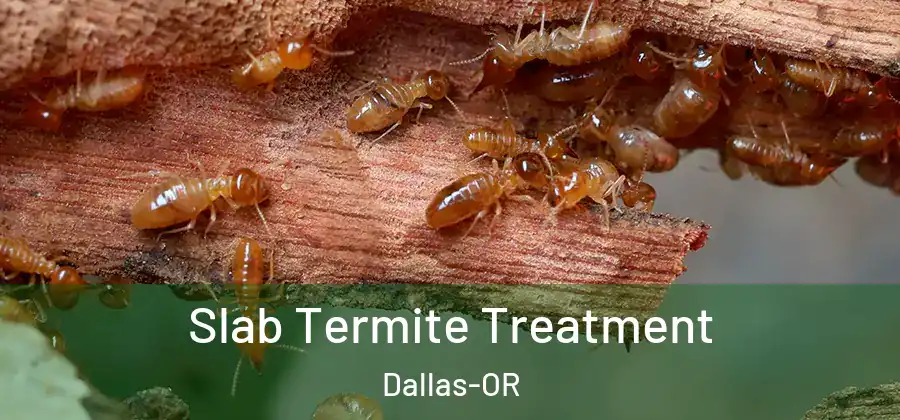  Slab Termite Treatment Dallas-OR