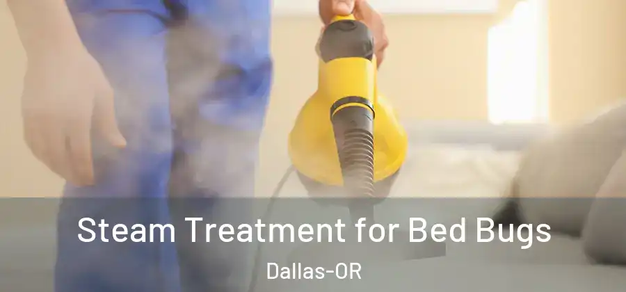  Steam Treatment for Bed Bugs Dallas-OR