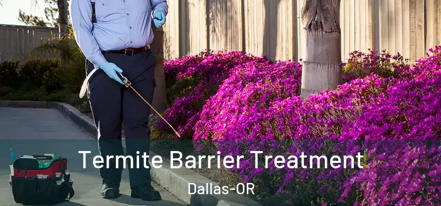 Termite Barrier Treatment Dallas-OR