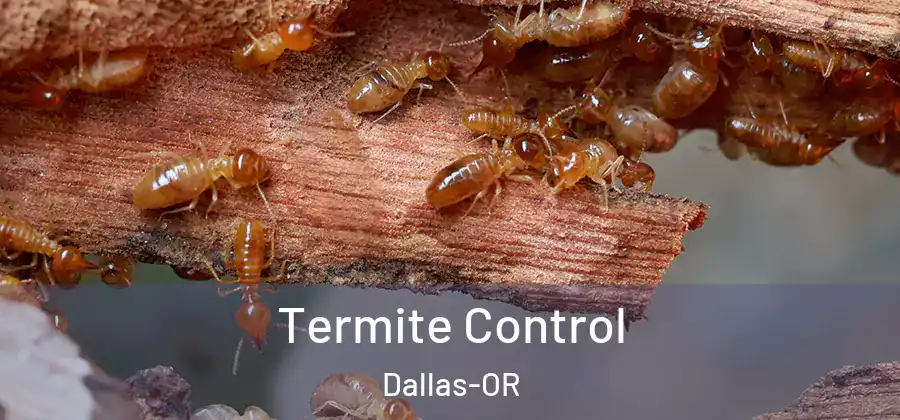 Termite Control Dallas-OR