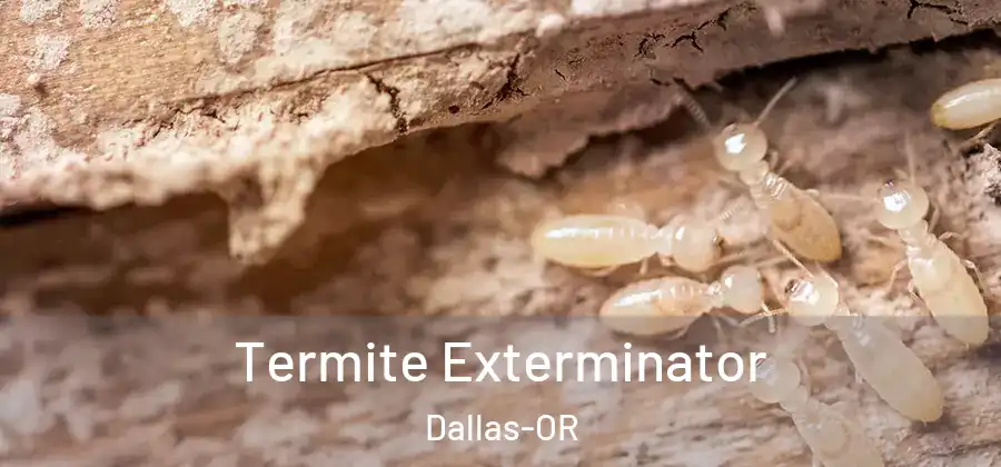 Termite Exterminator Dallas-OR