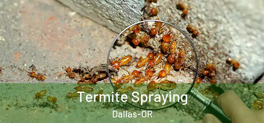 Termite Spraying Dallas-OR