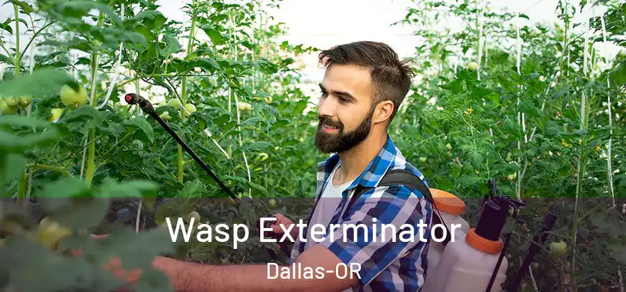 Wasp Exterminator Dallas-OR