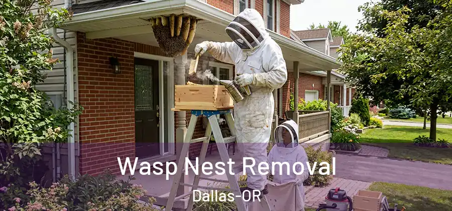  Wasp Nest Removal Dallas-OR