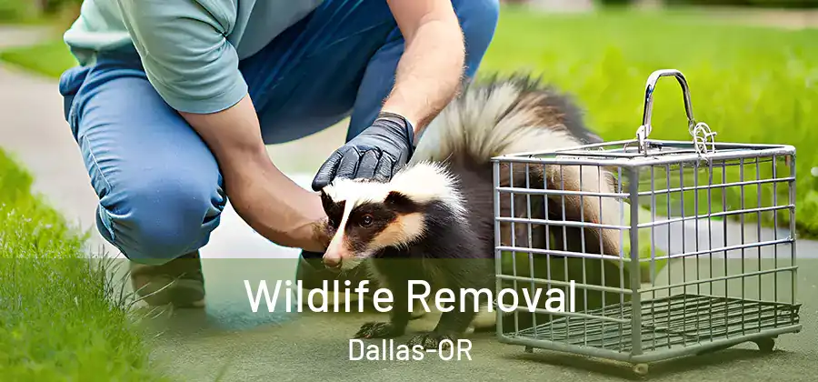 Wildlife Removal Dallas-OR