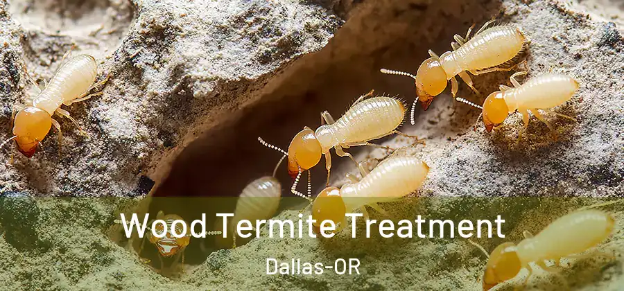  Wood Termite Treatment Dallas-OR