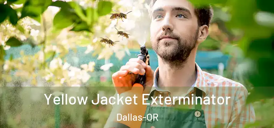 Yellow Jacket Exterminator Dallas-OR